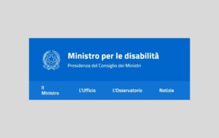 estratto homepage Ministro per le disabilità